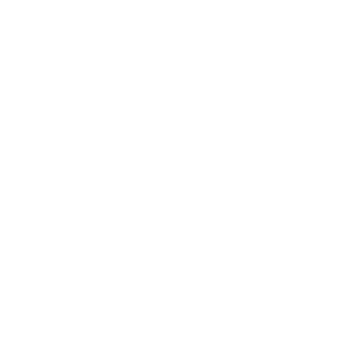 Certified Mindset Coach